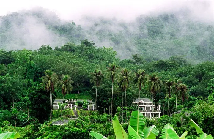Баотин: Litchi Garden Rainforest Hot Spring Resort