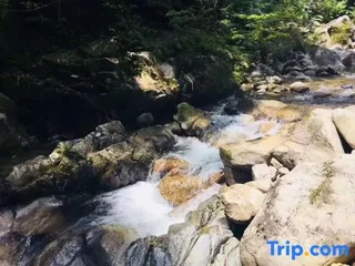 Хойчжоу: New Taoyuan Mountain Village