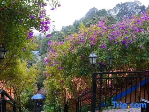 Хойчжоу: New Taoyuan Mountain Village