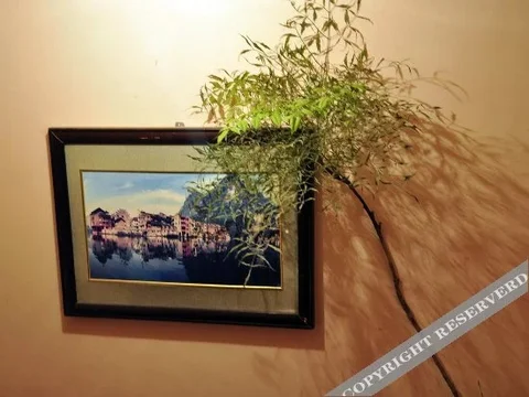 Уян: Youranju Hotel