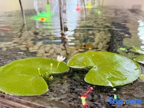 Ухань: Xin A Dan Yuan Optics Valley International Hotel