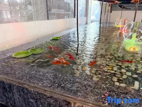 Ухань: Xin A Dan Yuan Optics Valley International Hotel