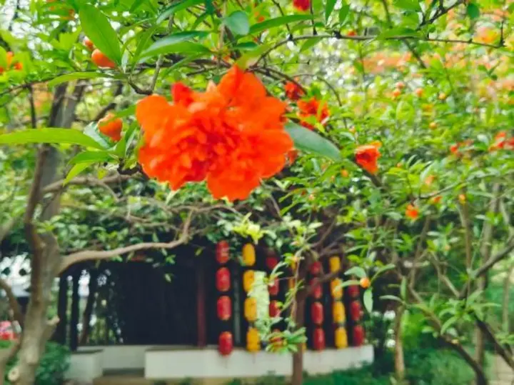 Наньчан: Ganjiang