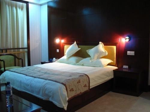 Тайчжоу: Petrel Hotel Luxury