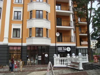Светлогорск: Apartment Alt-P.