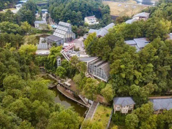 Чунцин: Qingfeng Gorge Resort Hotel
