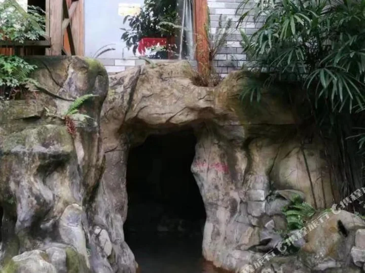 Чунцин: Chongqing White-collars East Hotspring Hotel