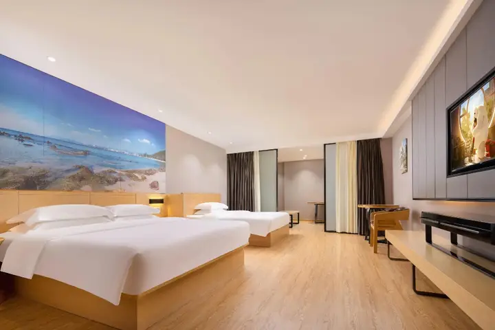 Metropolo Haikou Wuzhishan Hot Spring Hotel — фото 2