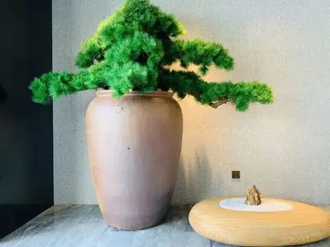 Шанхай: JI Hotel (Shanghai Meilong Wanhui International Plaza)