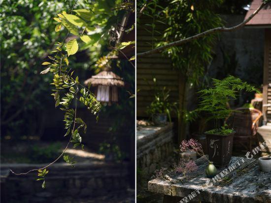 Сямынь: Gulangyu Gallery · Taoyuan Homestay