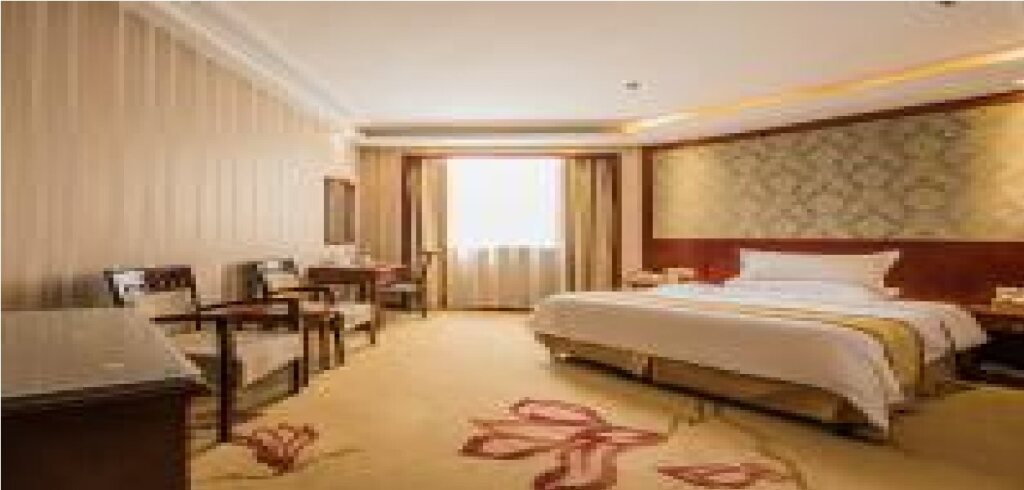 Аньян: Vienna Hotel