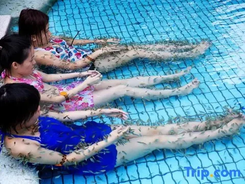 Фошань: Sanshui Lubao Hot Spring Resort
