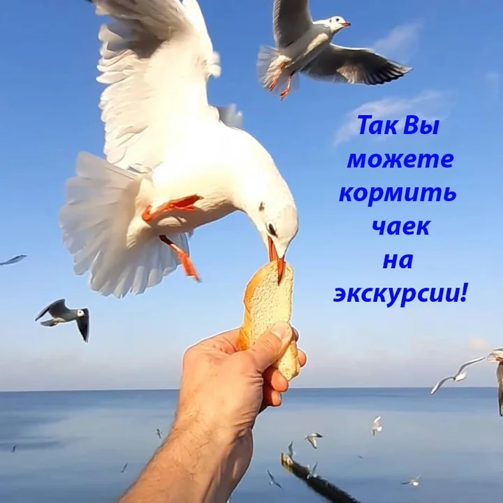 Зеленоградск: Apartments na Lesoparkovoy 2 A