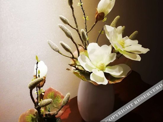 Цзинин: Huiquan Boutique Hotel