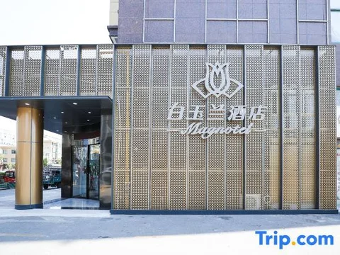 Наньтун: Lvsigang Hotel