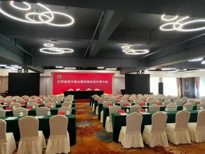 Суцянь: Shuyang Yeshi International Hotel