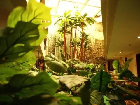 Ухань: Kingdom Hotel Wuhan