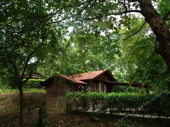 Янгиианг: Chundu Hotspring Resort
