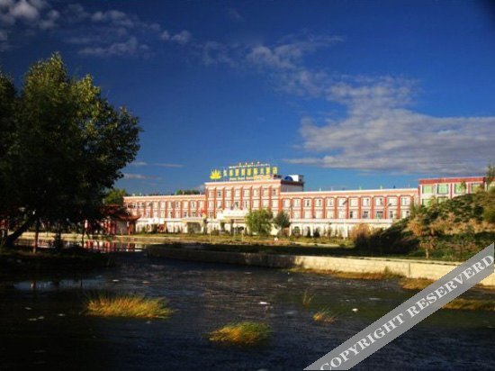Шигадзе: Jiumuyamei International