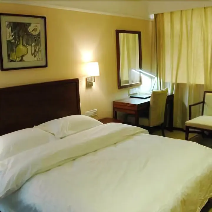 Синьсян: Xin Fei Hotel
