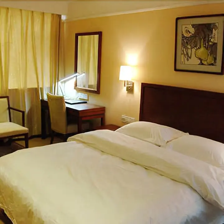 Синьсян: Xin Fei Hotel