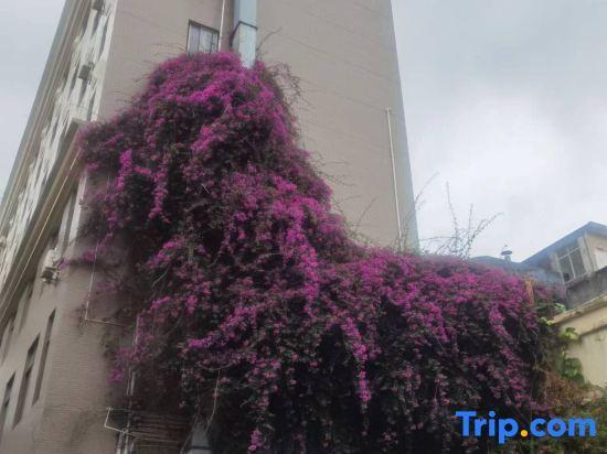 Янгиианг: Jtour Inn Yangjiang Municipal Government