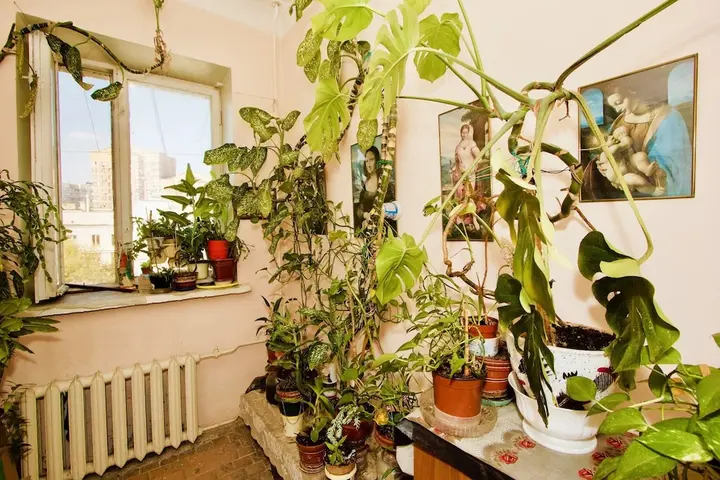 Москва: Апартаменты «LUXKV на 2-й Дубровской»