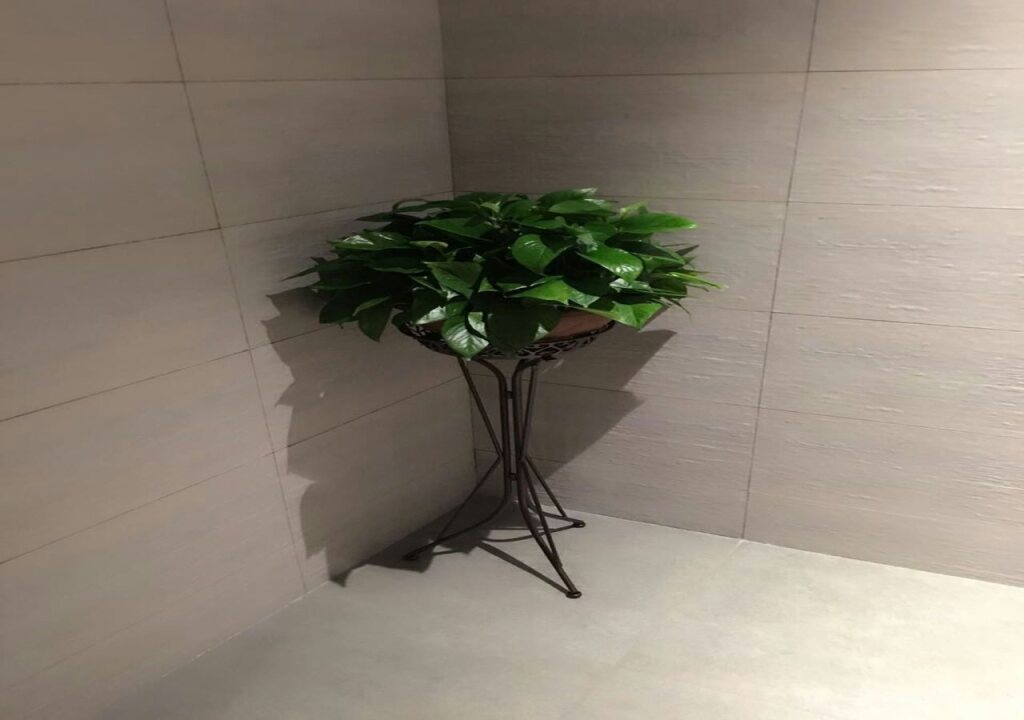 Шэньян: Homeinn Plus Hotel (Shenyang Railway Station East Square Subway Station)