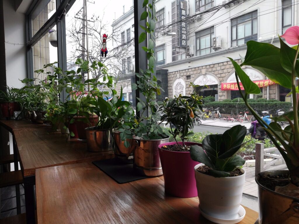 Шанхай: chichen boutique hotel shanghai