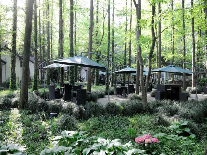 Ханчжоу: Lotus Glade Hotel