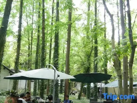 Ханчжоу: Lotus Glade Hotel