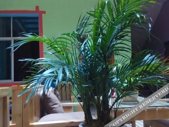 Пучжэхэй: Puzhehei Yunshu Youth Hostel