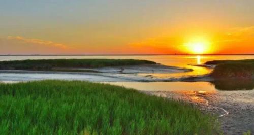 Паниин: Red Beach Homestay