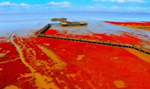 Паниин: Red Beach Homestay