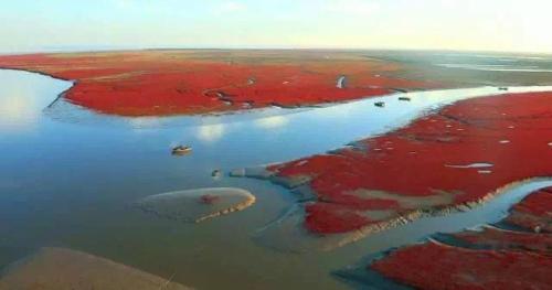 Паниин: Red Beach Homestay
