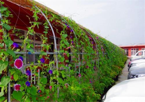 Жичжао: Hailuowan Hotel