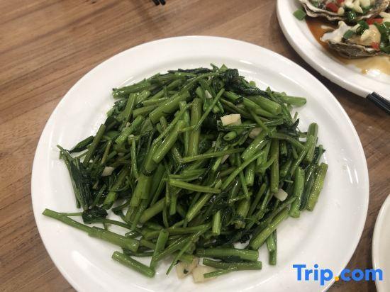 Чжоушань: Putuo Mountain Jingya Guesthouse