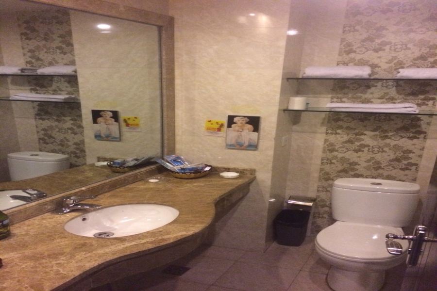 Лишуй: 丽水雅苑精品大酒店