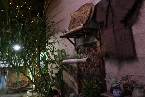 Цюаньчжоу: Vanilla Garden Hostel
