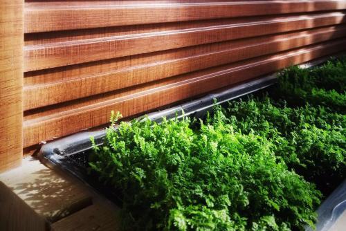 Чэнду: Bamboo House