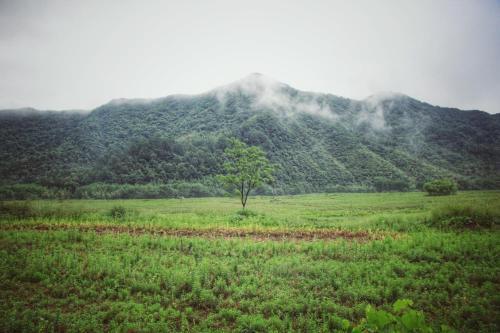 Хуаншань: Huangshan October Guesthouse