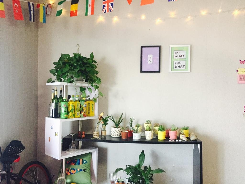 Яньтай: Oak Tree Youth Hostel