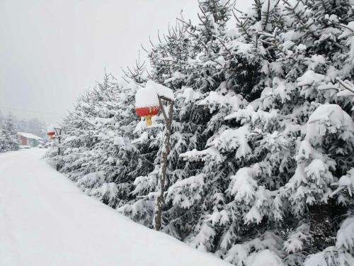 Харбин: Xuegu One Meter Sunshine Inn