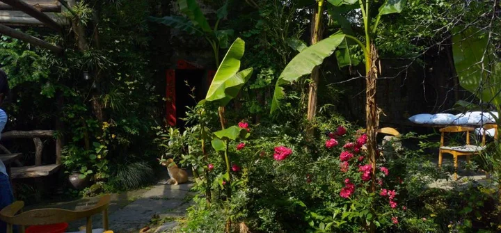 Шанграо: Wuyuan Qiye Yanxiang Guesthouse