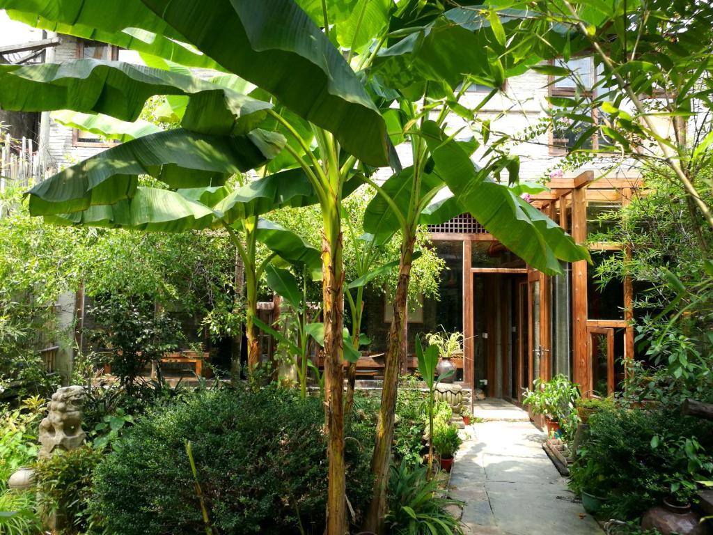 Шанграо: Wuyuan Qiye Yanxiang Guesthouse