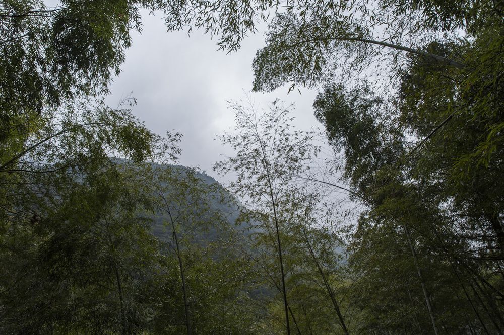 Тайчжоу: Jiuxi Cloud Valley Hotel