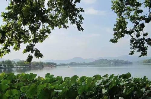 Ханчжоу: Hangzhou Shiyu Home Stay