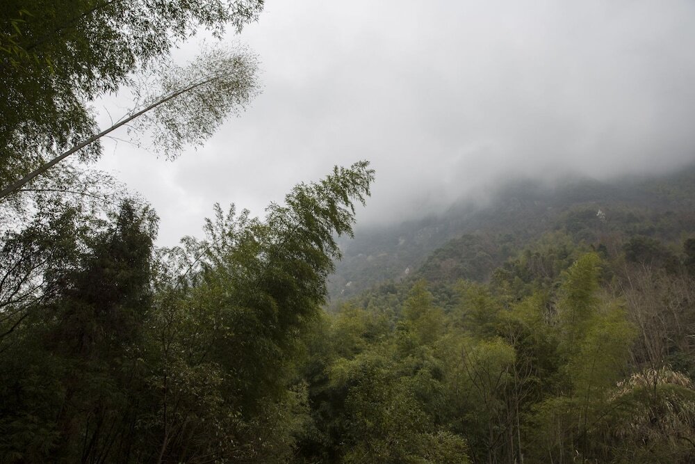 Тайчжоу: Jiuxi Cloud Valley Hotel