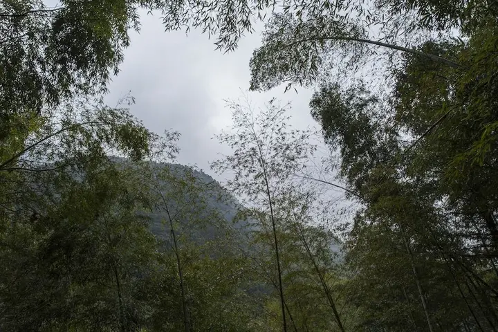 Тайчжоу: Jiuxi Cloud Valley Hotel