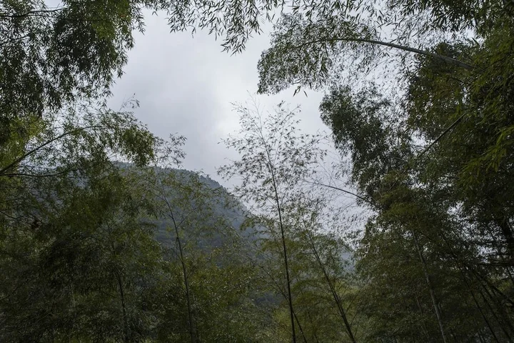 Тайчжоу: Jiuxi Cloud Valley Hotel